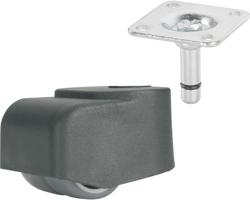 Tarrox dubbele rol, tot 70 kg, 25 x 46 x 25 mm