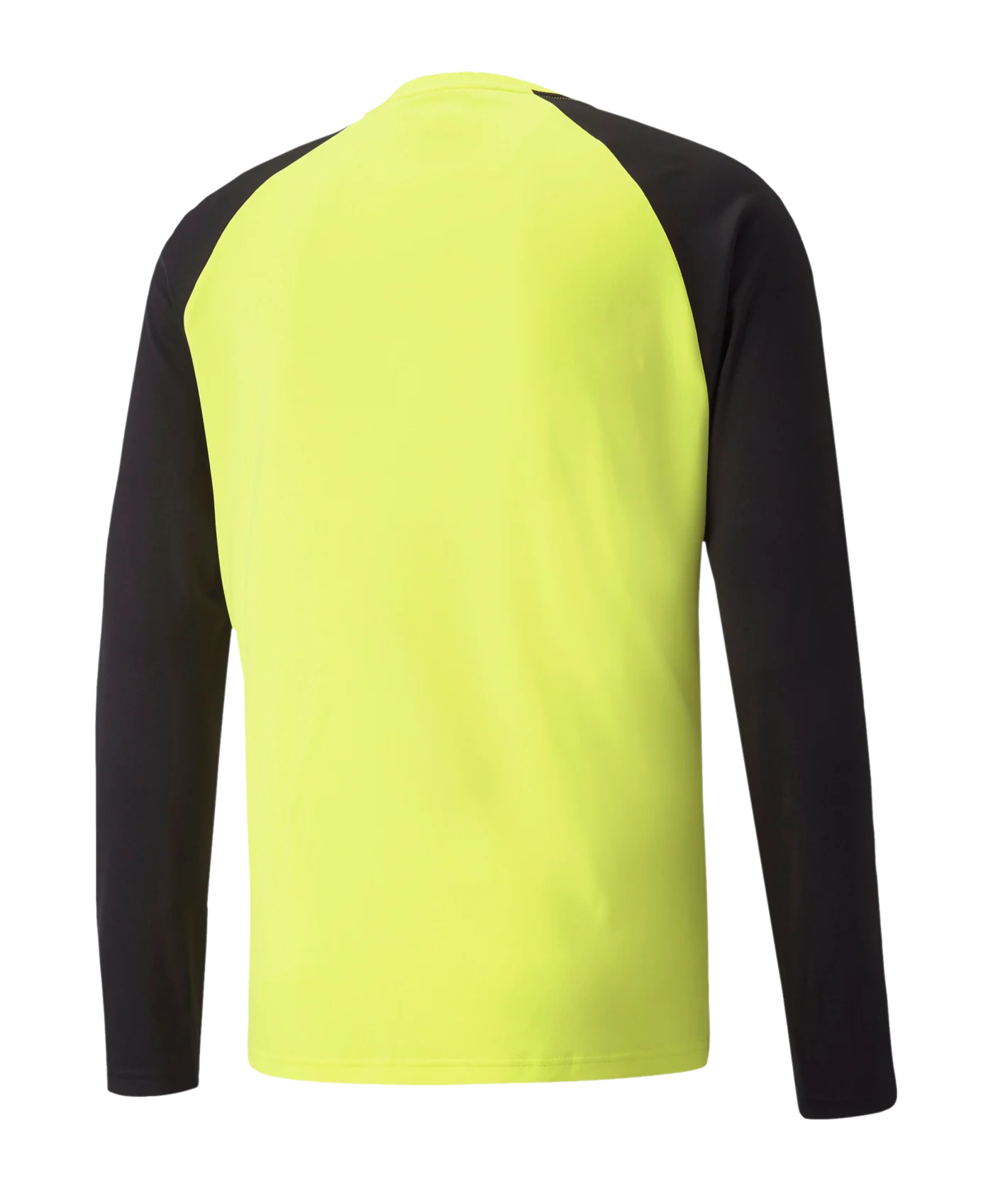 PUMA teamPACER Torwarttrikot langarm Kids F42