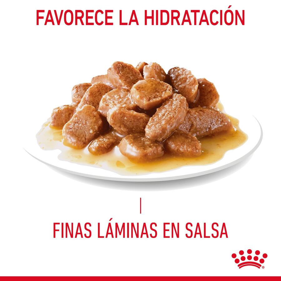 Sachê urinário Royal Canin em molho para gatos