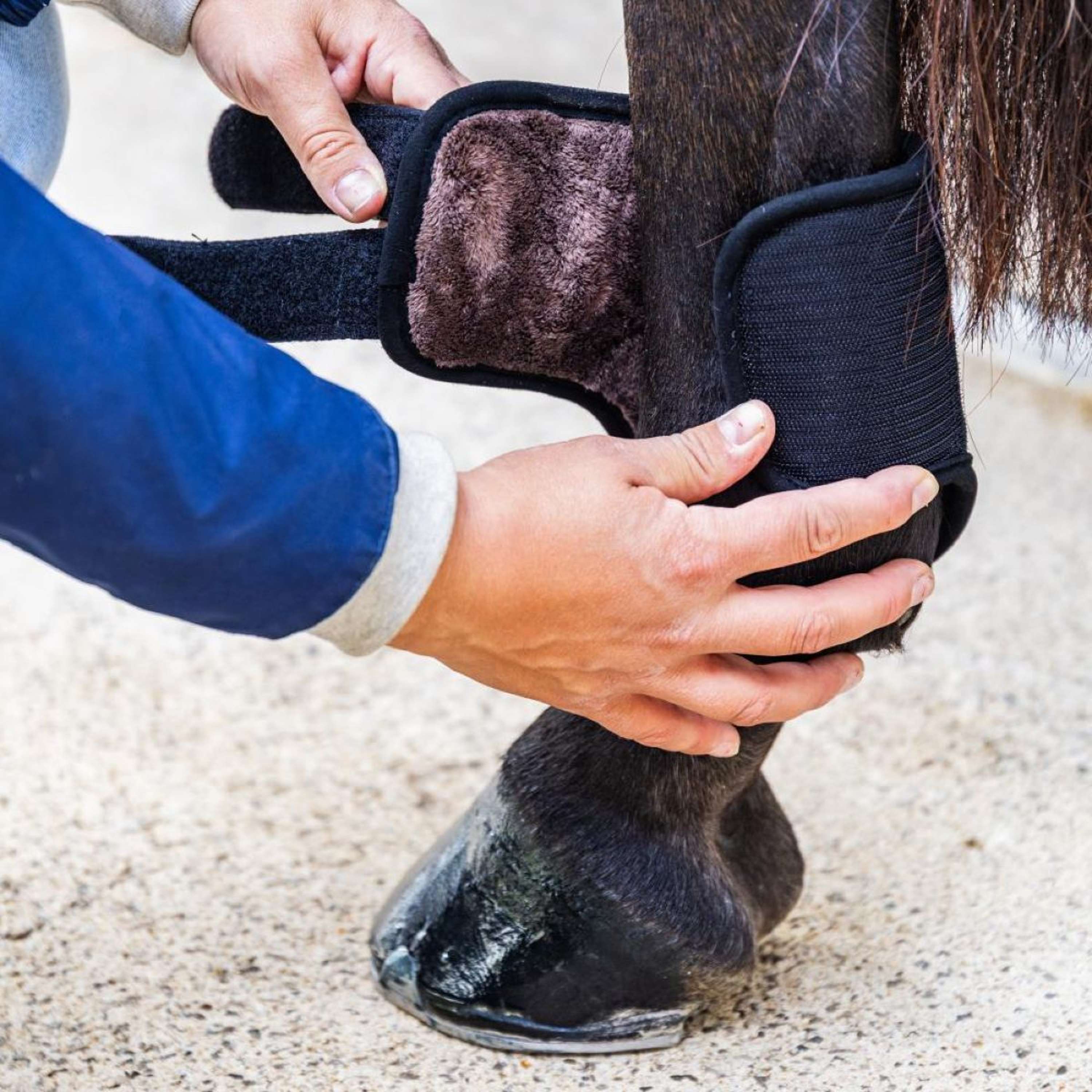 Kentucky Eventing Boots 3D Air Flow Skin Friendly Short Hind Zwart