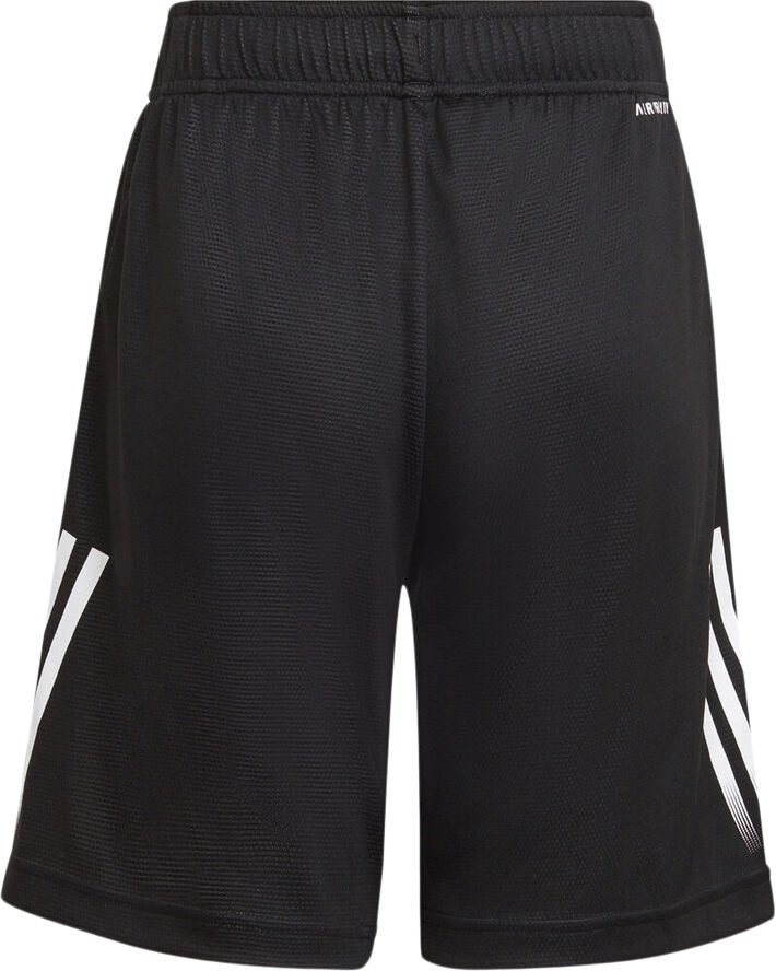 adidas AEROREADY shorts Sort