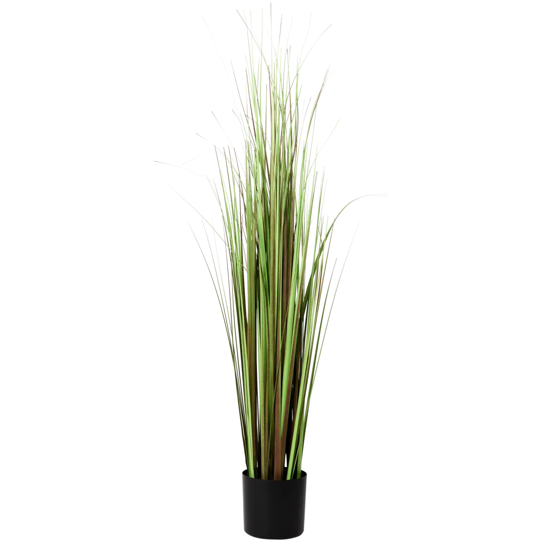 Plante grasse artificielle