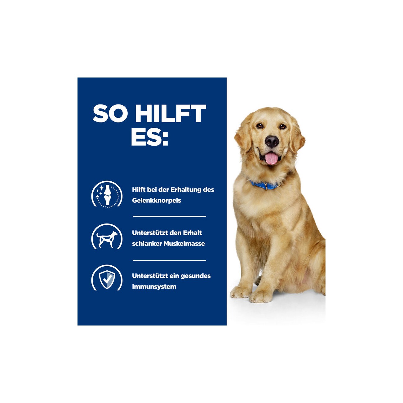 Hill's Prescription Diet j/d mit Huhn 12x370g