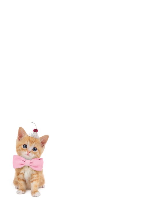 Studio Pets | Verjaardagskaart | Meowgical birthday