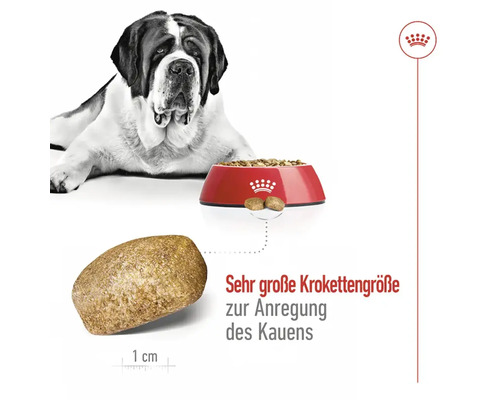 Droog hondenvoer, ROYAL CANIN Giant Adult 15 kg