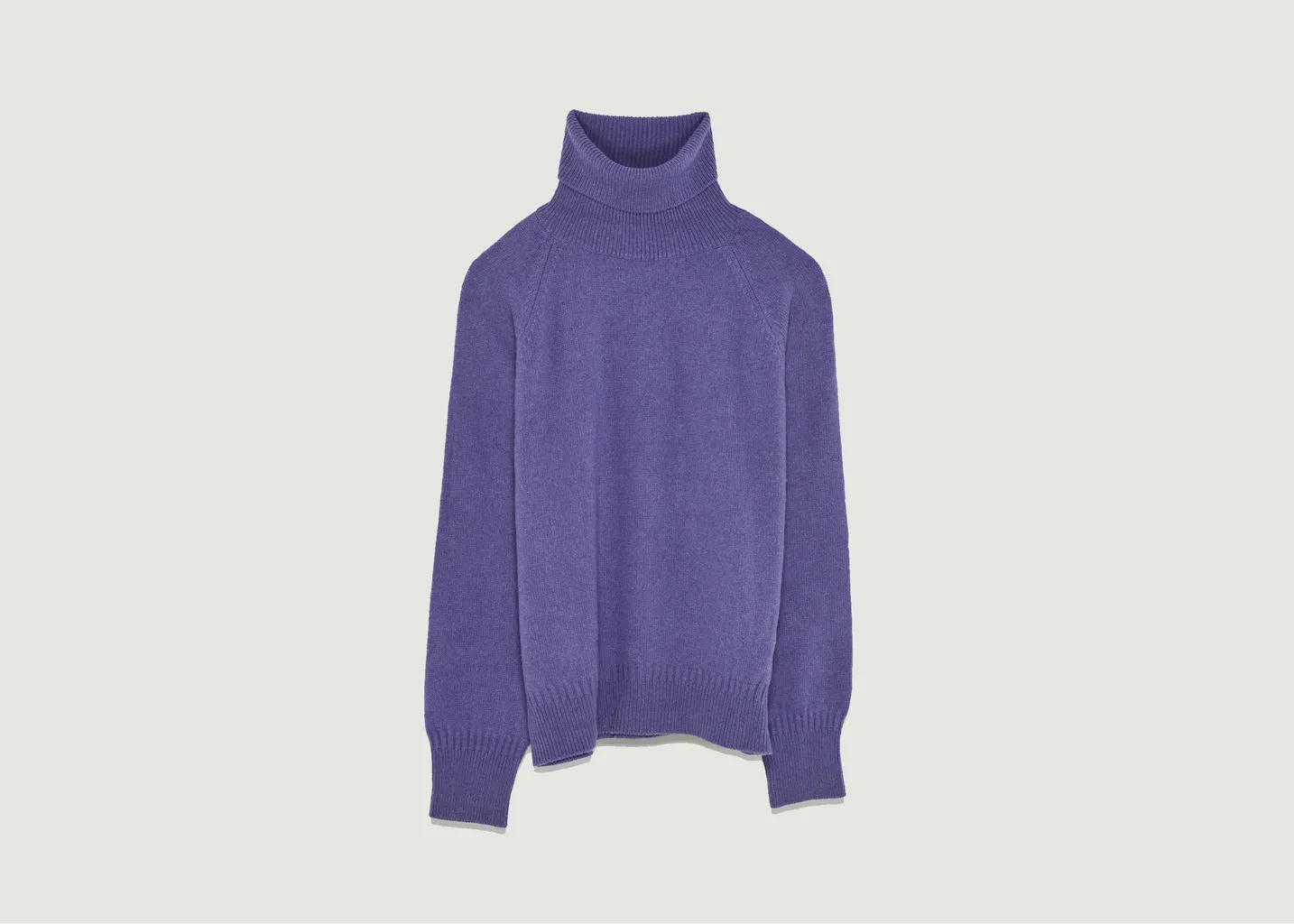 Pull col roulé en cachemire Tricot