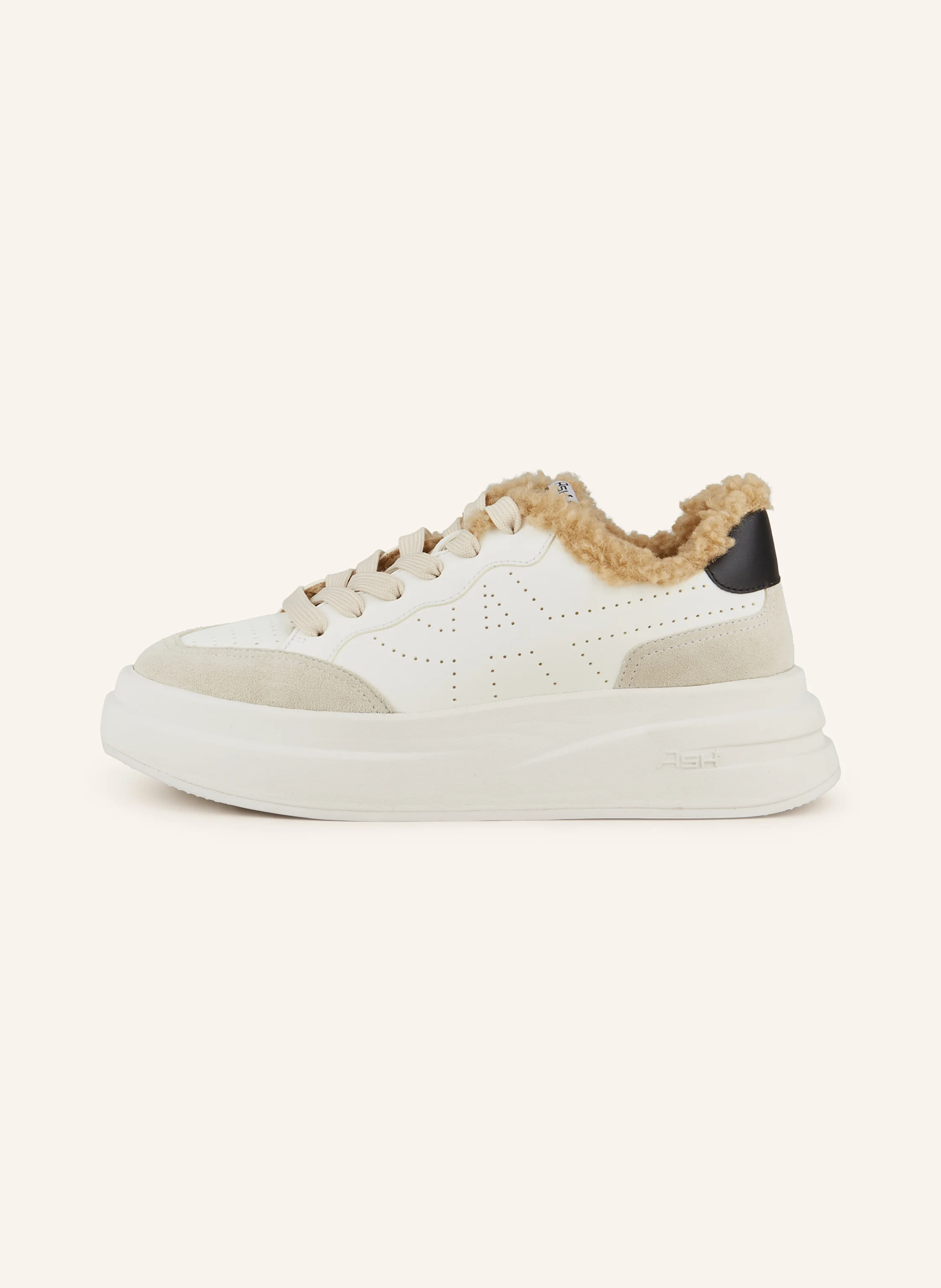 ash Sneaker IMPULS