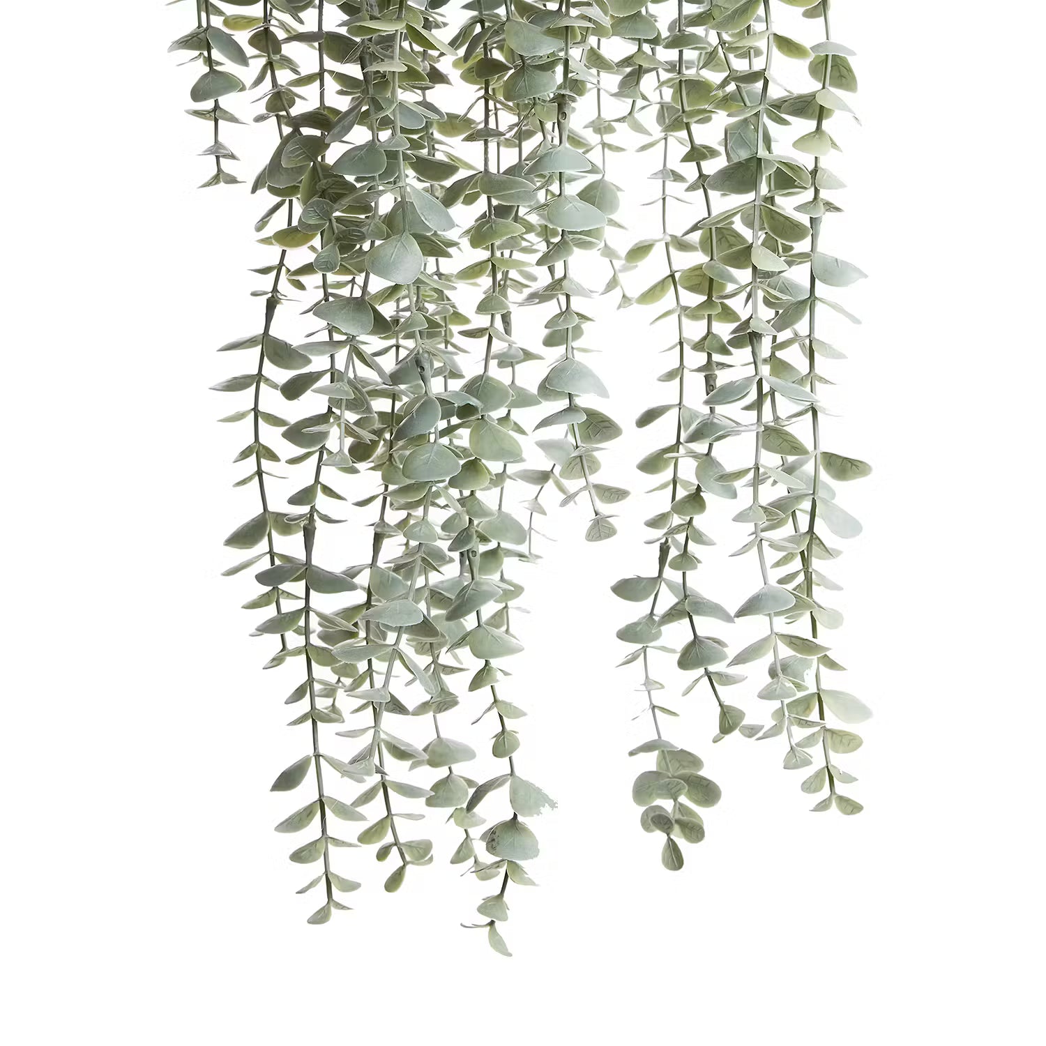 FLORISTA XL Kunsthängepflanze Eukalpytus
