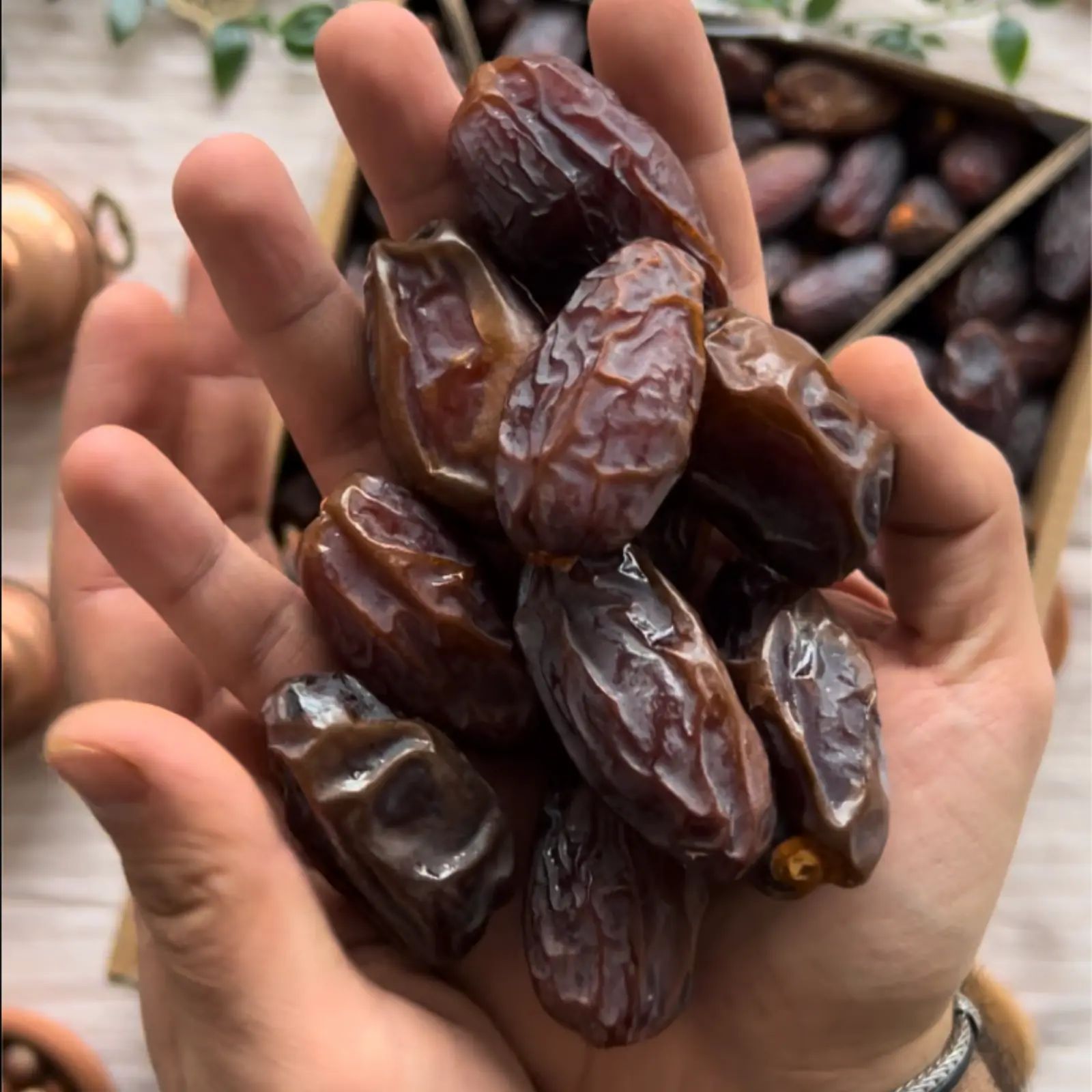 Öz Natur | Medjool Datteln