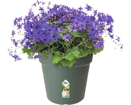 elho Green Basics plantenpot, kunststof, Ø 11 cm, H 10 cm, groen