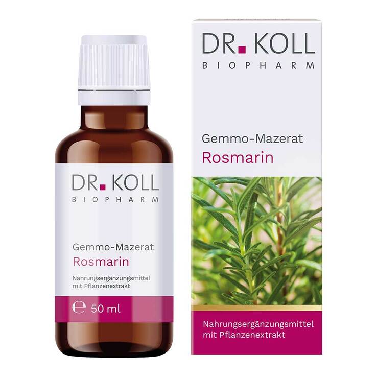 Gemmo-Mazerat Rosmarin Dr. Koll Rosmarinus officinale Tropfen, 50 ml