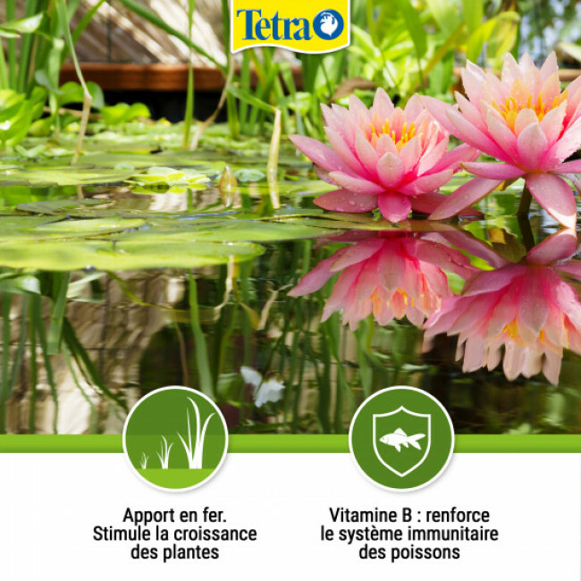 Traitement de l'eau Tetra Pond SeasonStart