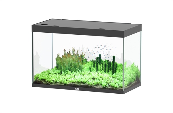 Aquatlantis Sublime 120x60 aquarium | Gloednieuw