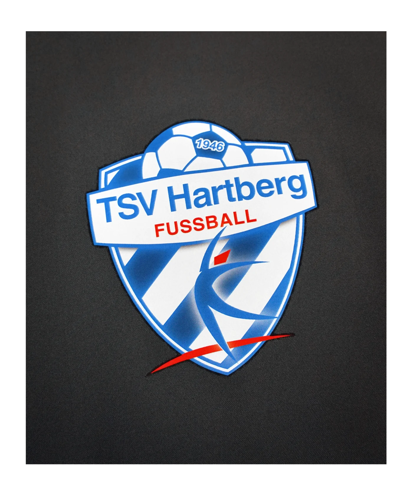 adidas TSV Hartberg Prematch Jacke 2022/2023 Grau