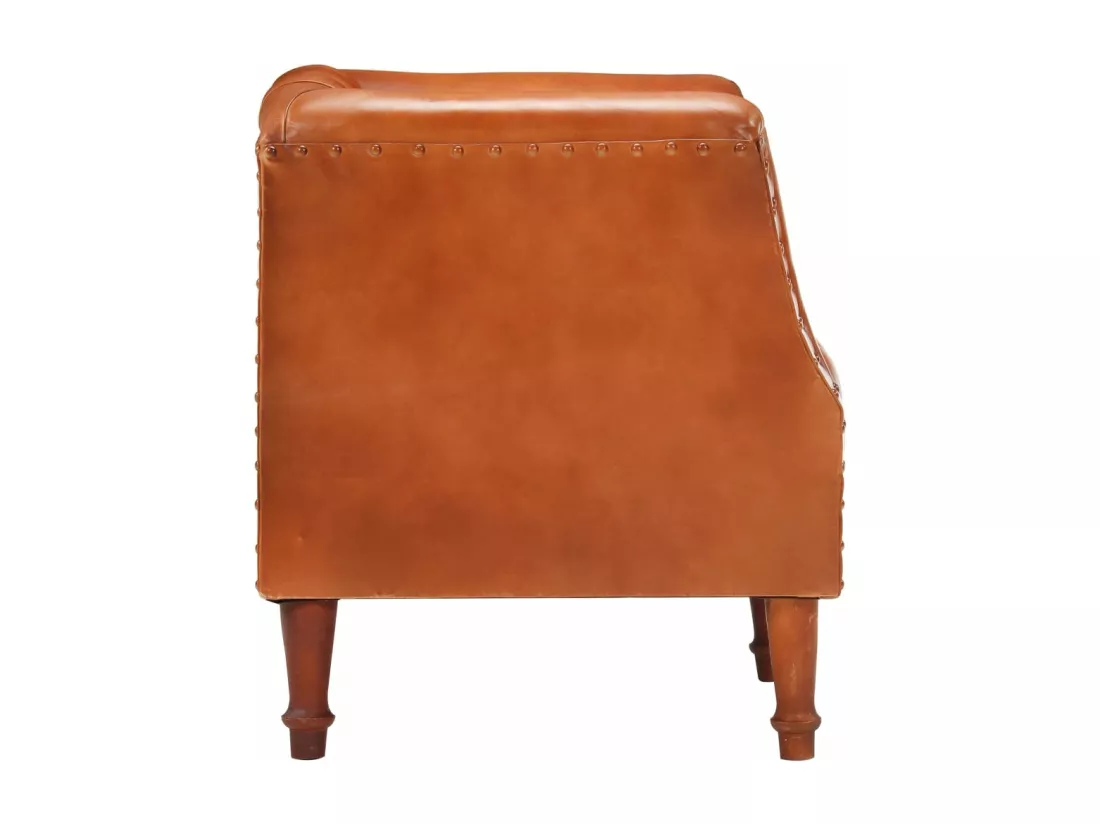 Fauteuil Marron Cuir véritable de chèvre