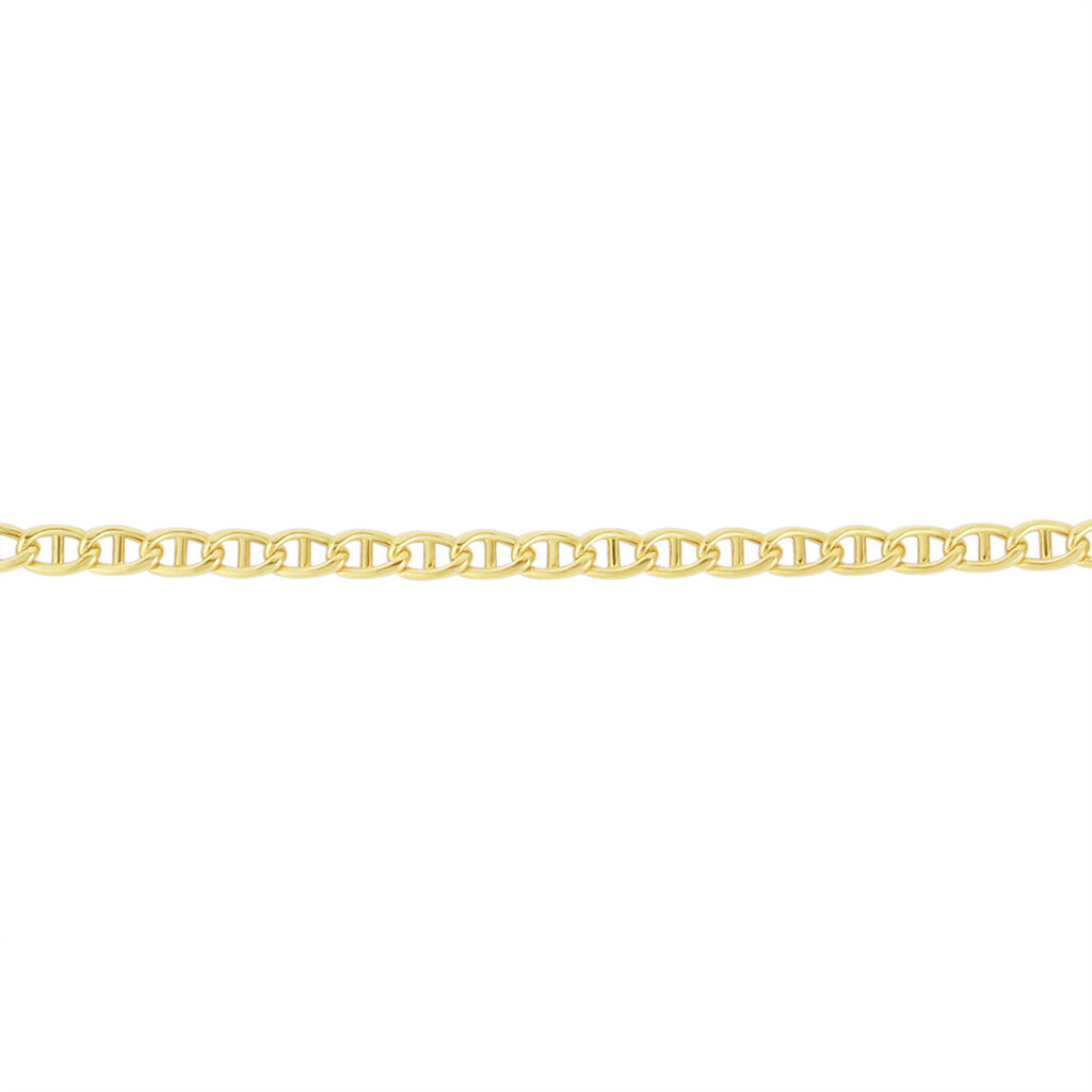 Collier Capucin Maille Marine Plate Or Jaune