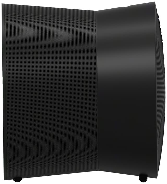 Sonos Era 300 højttaler (sort)