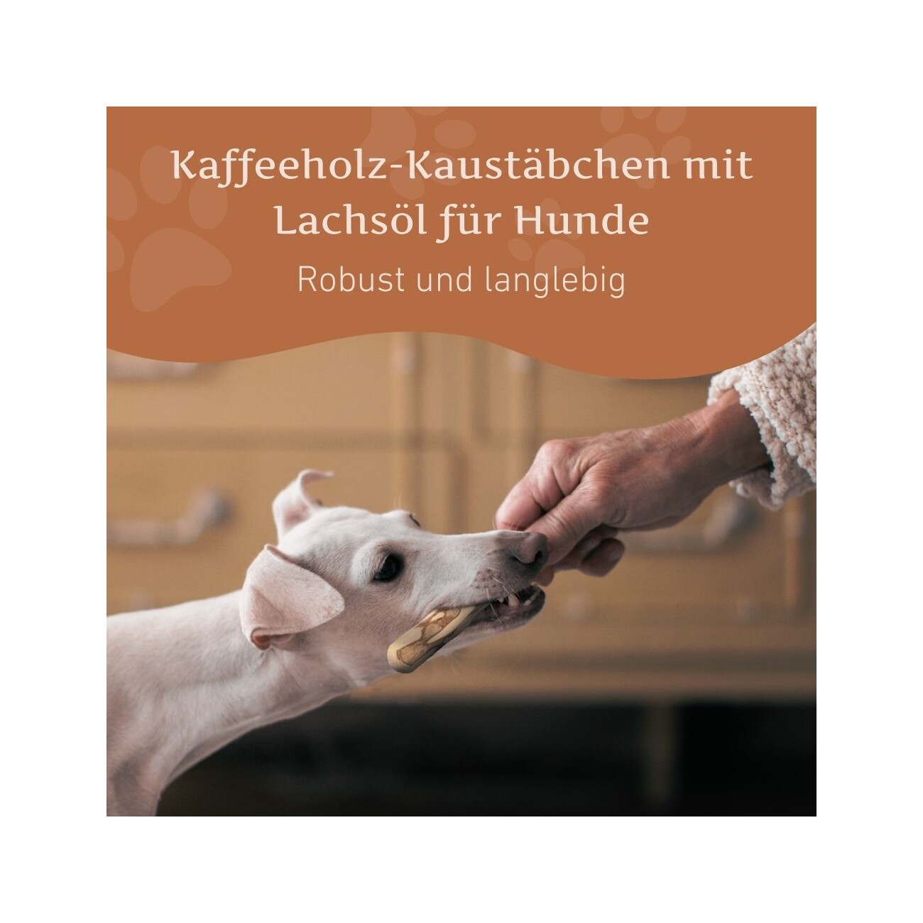 Wildfang ® Kaffeeholz Kaustab mit Lachsöl