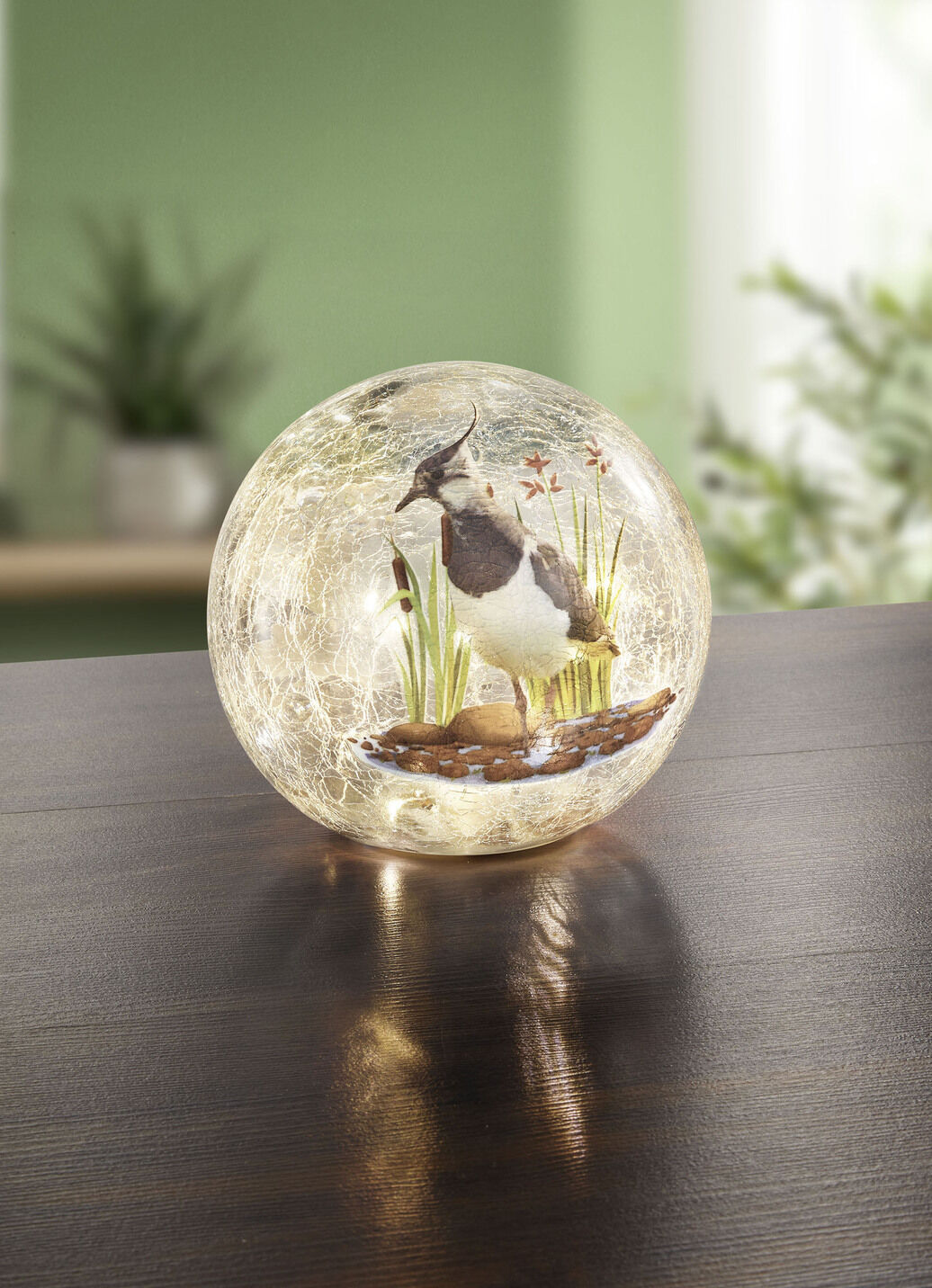 Glaskugel mit Beleuchtung