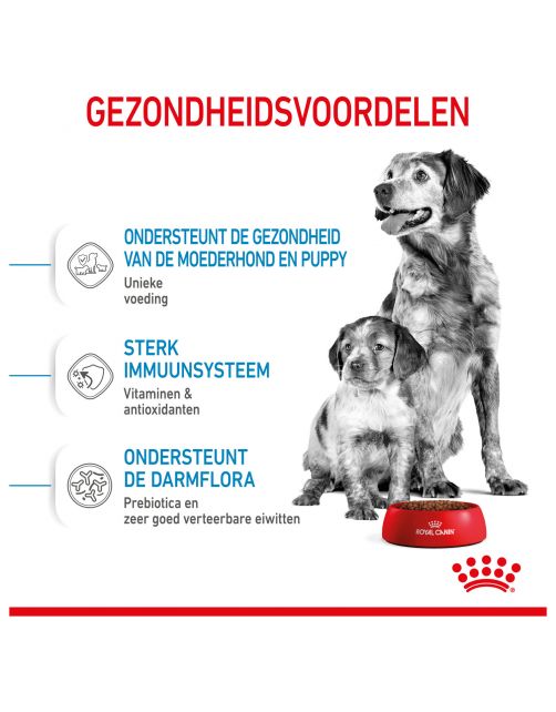 Royal Canin Medium Starter Mother & Babydog - Puppy-Hondenvoer