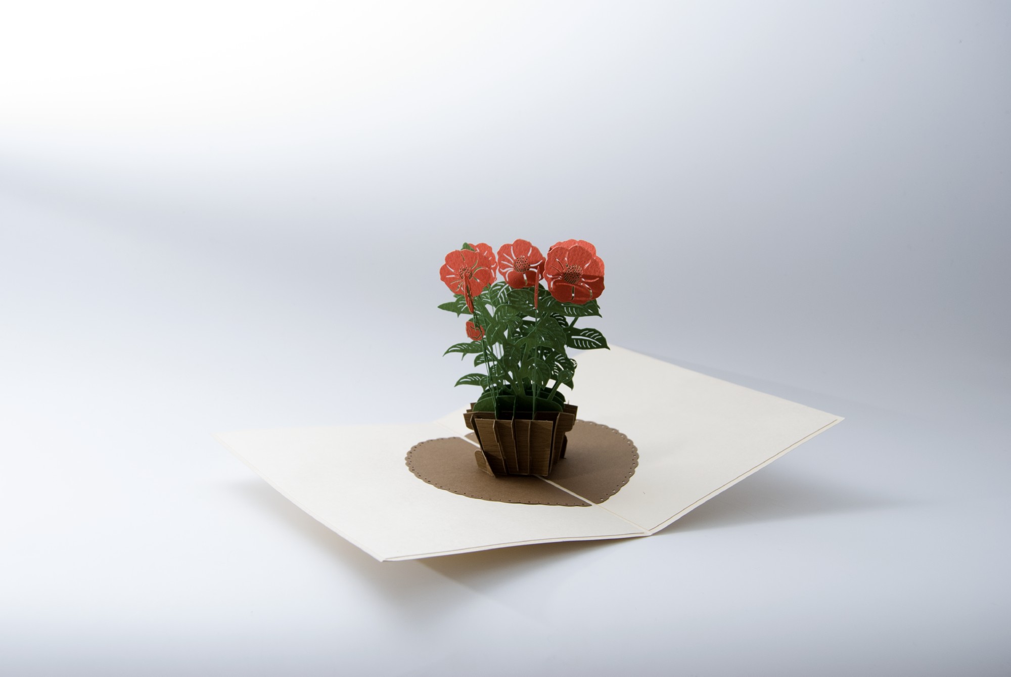 Pop-Up Karte 'Mohnblume', rot, L 18 cm, B 13 cm günstig bestellen