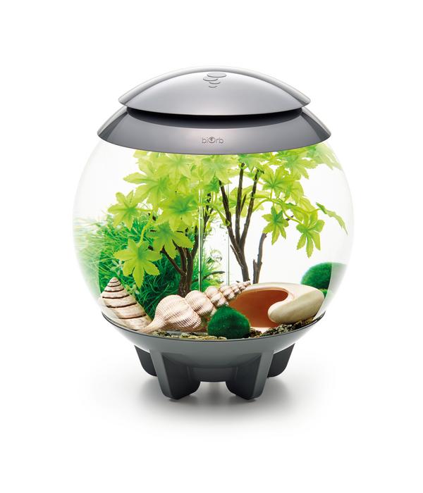 biOrb® Aquariumdeko Decor Set 15 l Sommer