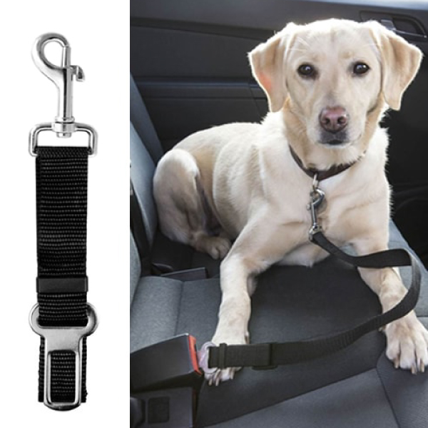 Laisse courte ceinture de sécurité pour chien