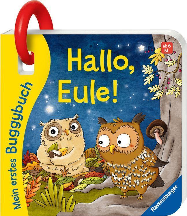 Mein erstes Buggybuch / Mein erstes Buggybuch: Hallo, Eule!