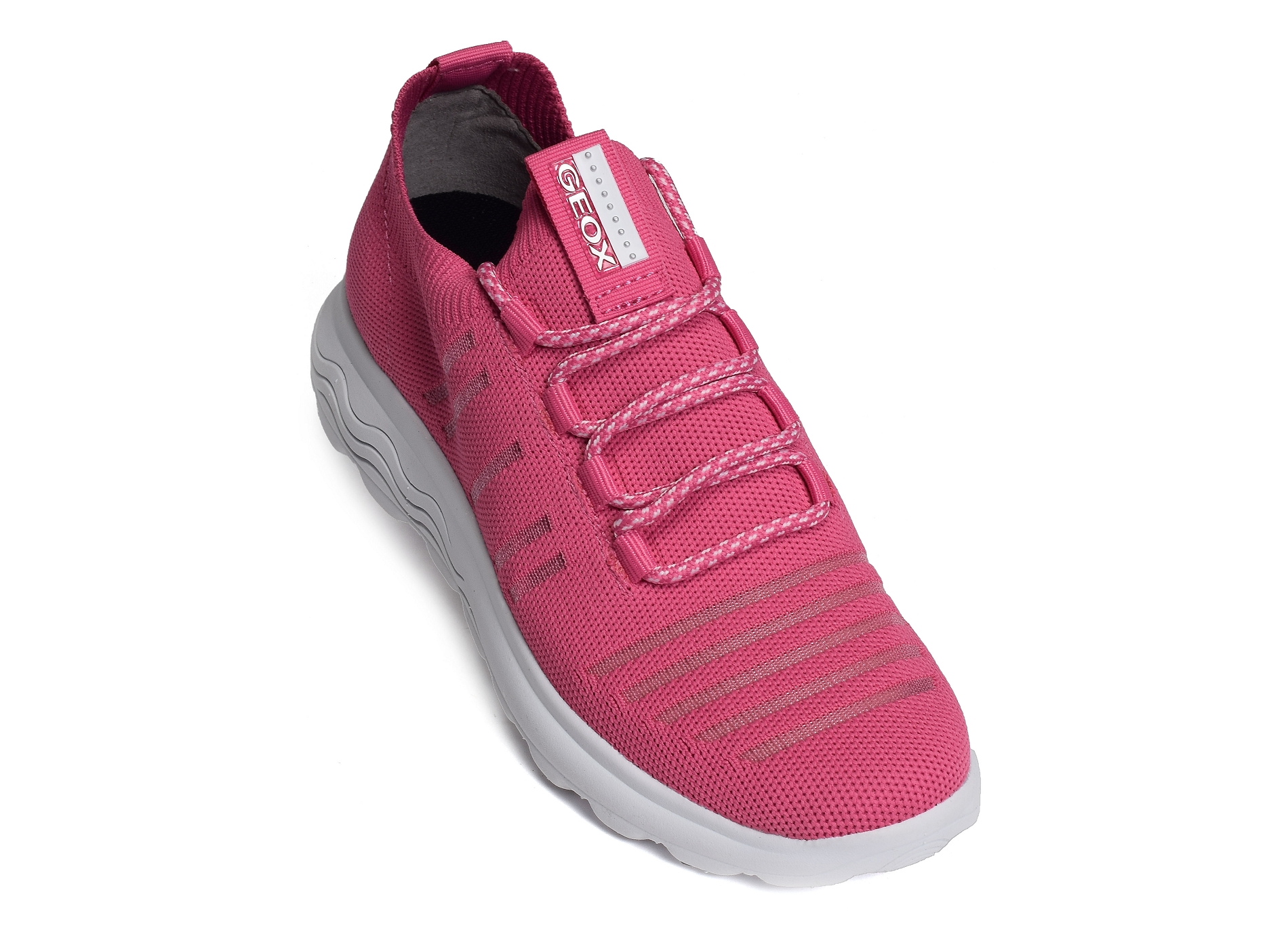 D spherica c rose
