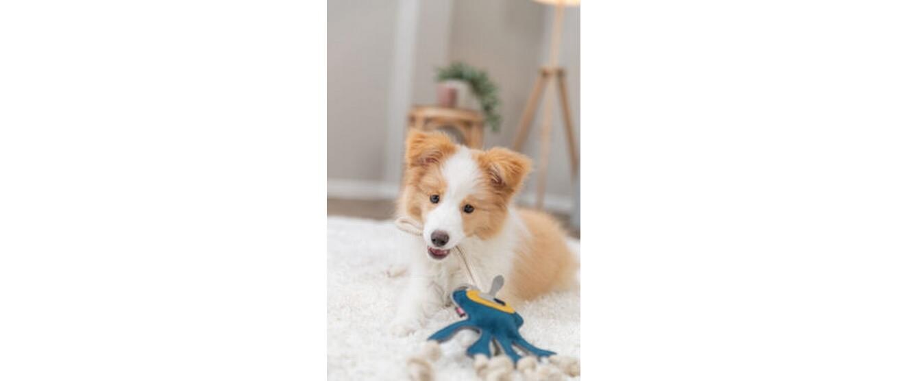 Hunde-Spielzeug Monster am Tau 47 cmLederspielzeug für Hunde