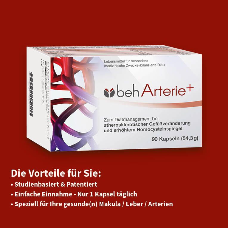 beh Arterie+