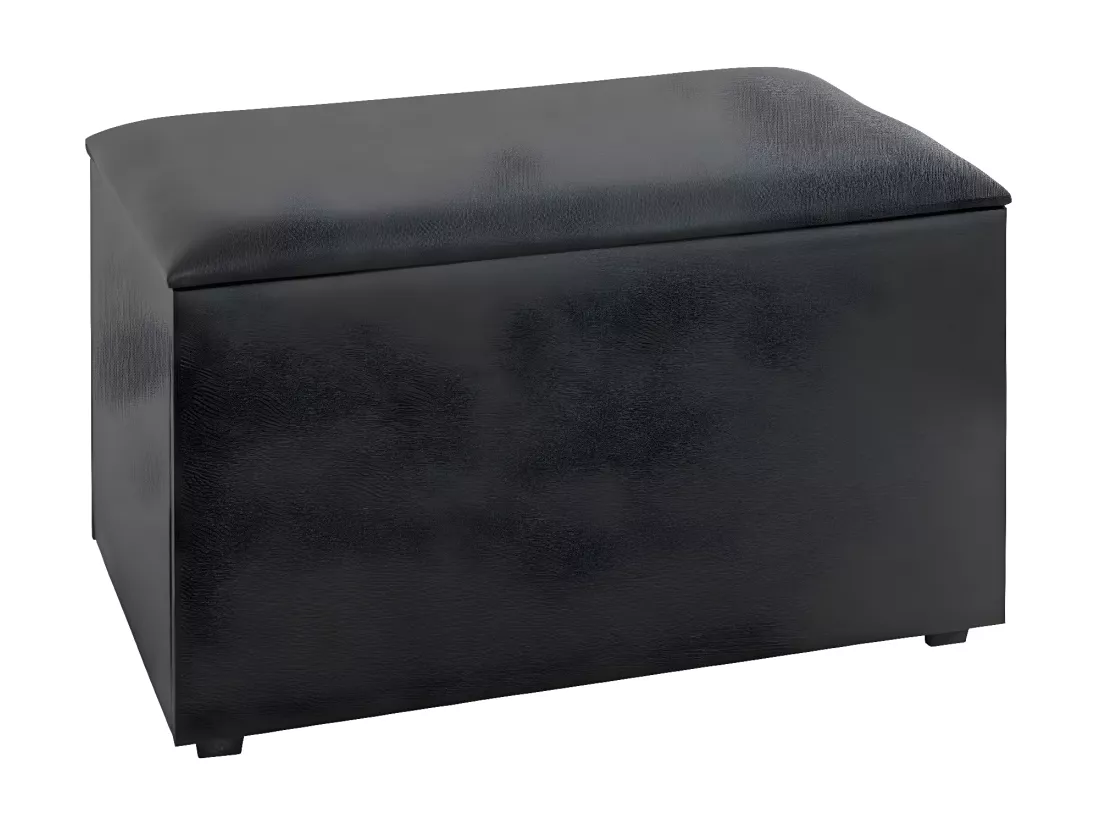 Coffre de Rangement Design 