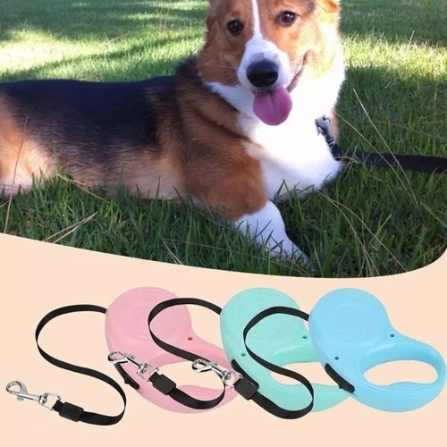 Guia extensível azul para cães
