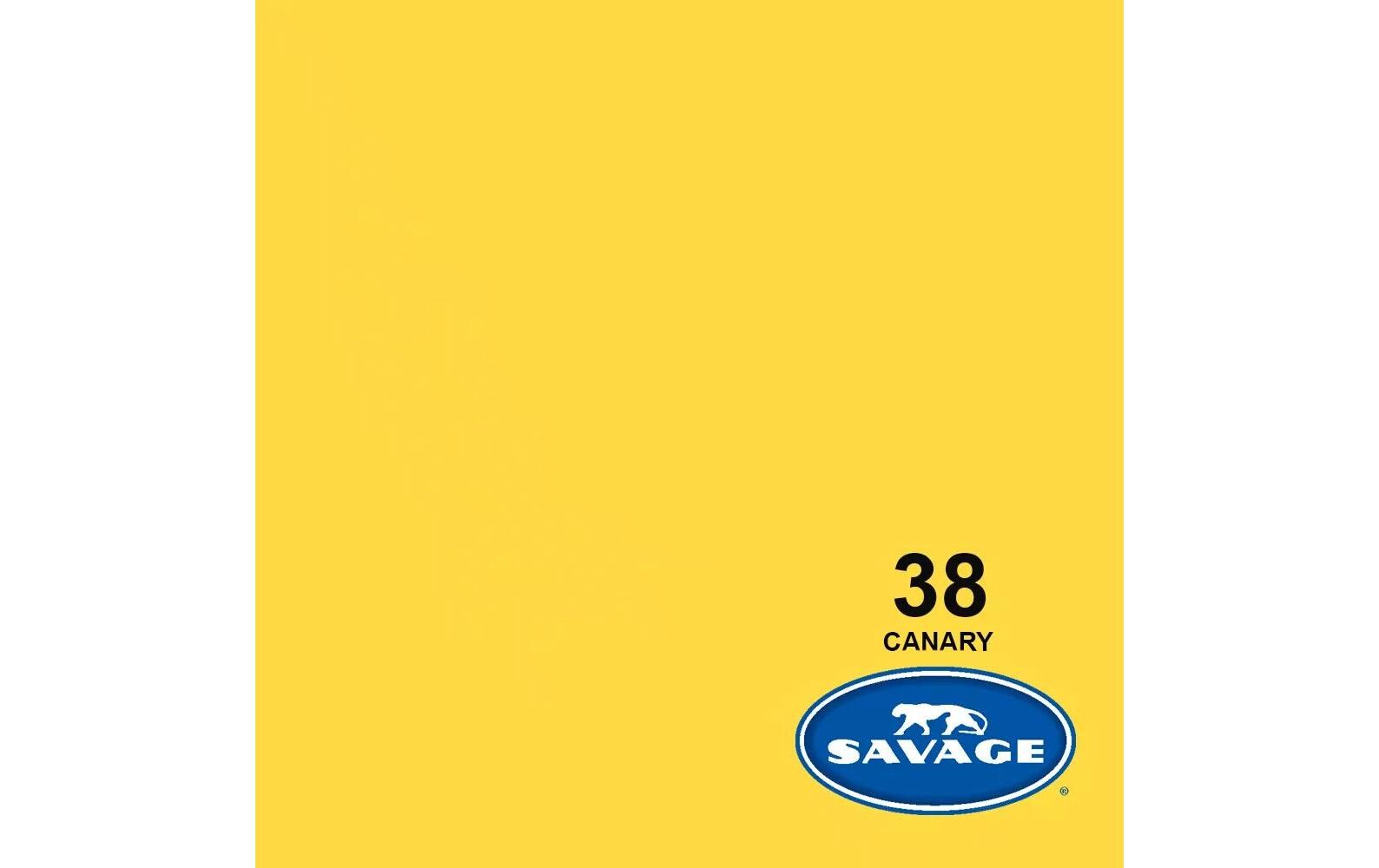 Hintergrund Papier 2.72 x 11m Canary<br>Das Hintergrundpapier von Savage