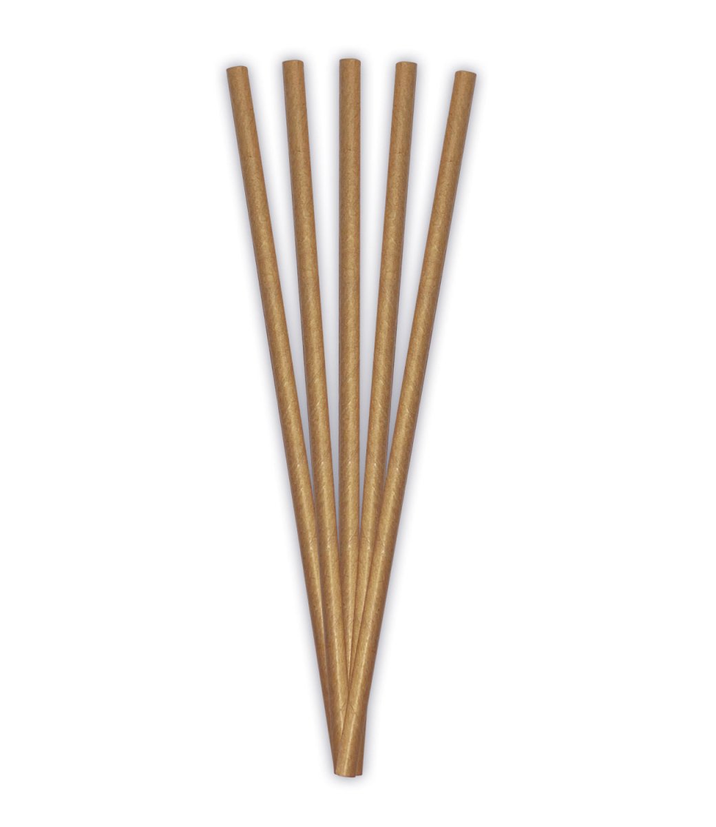 Bruine Rietjes Papier 19,7cm 24st