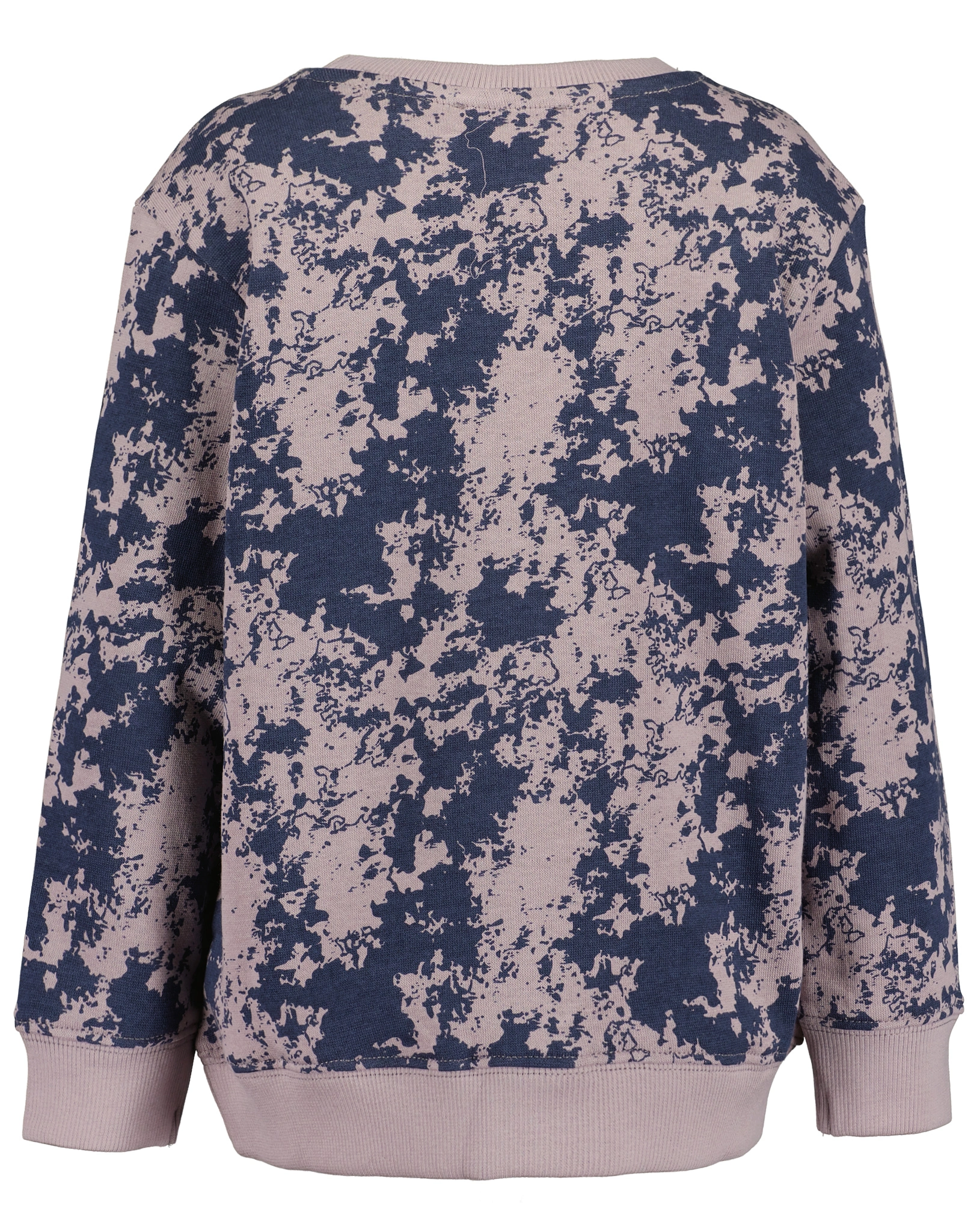 Sweatshirt FUTURE in lila