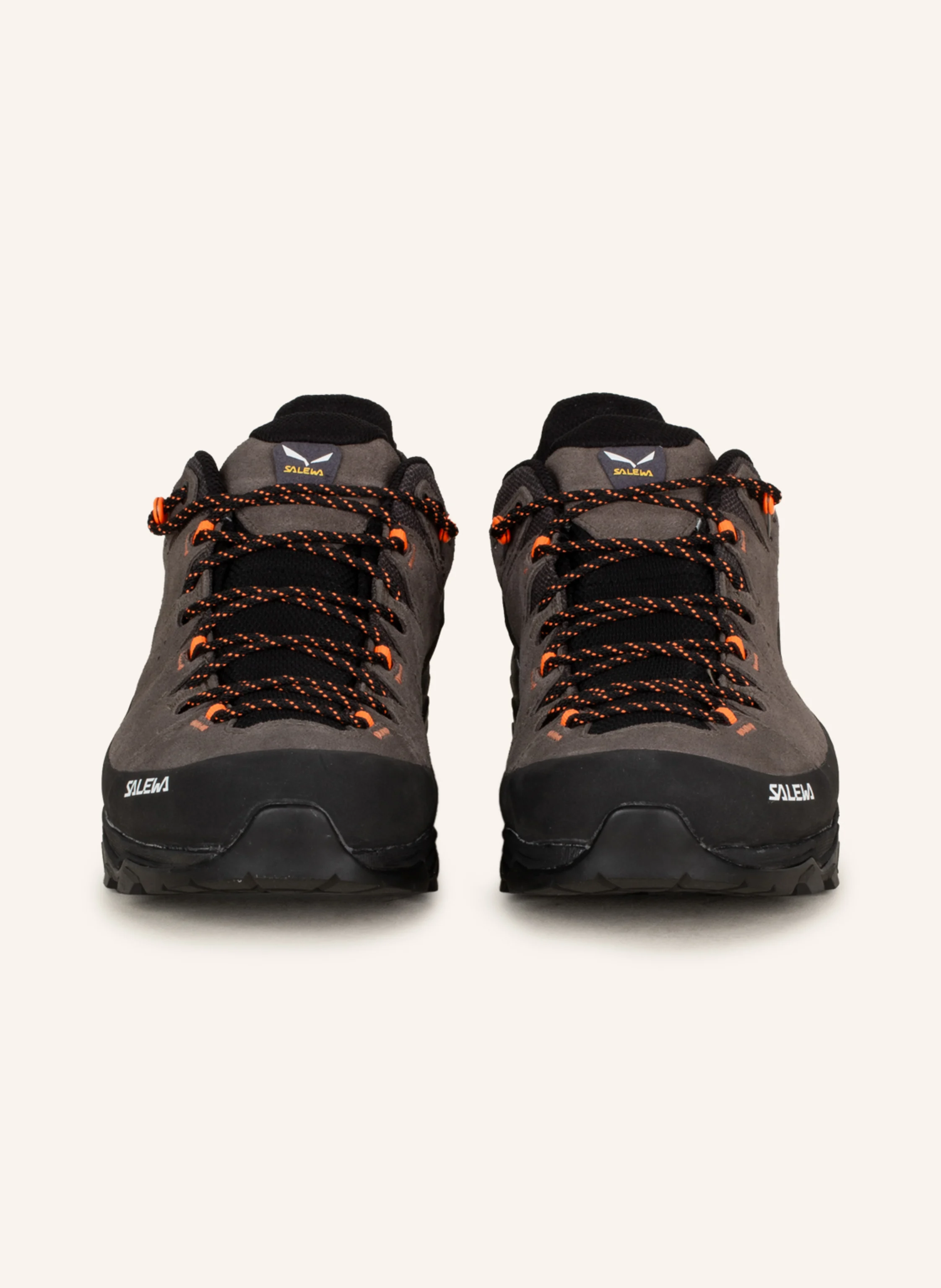 SALEWA Wanderschuhe ALP TRAINER 2 GTX