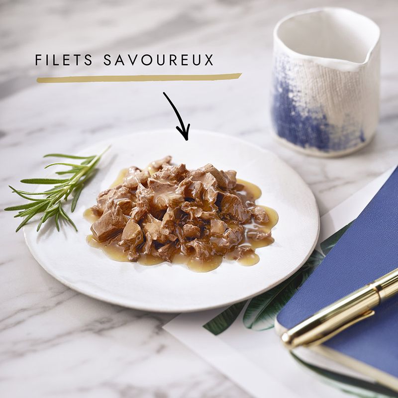Gourmet Perle 26 x 85 g à prix discount sur bitiba.fr