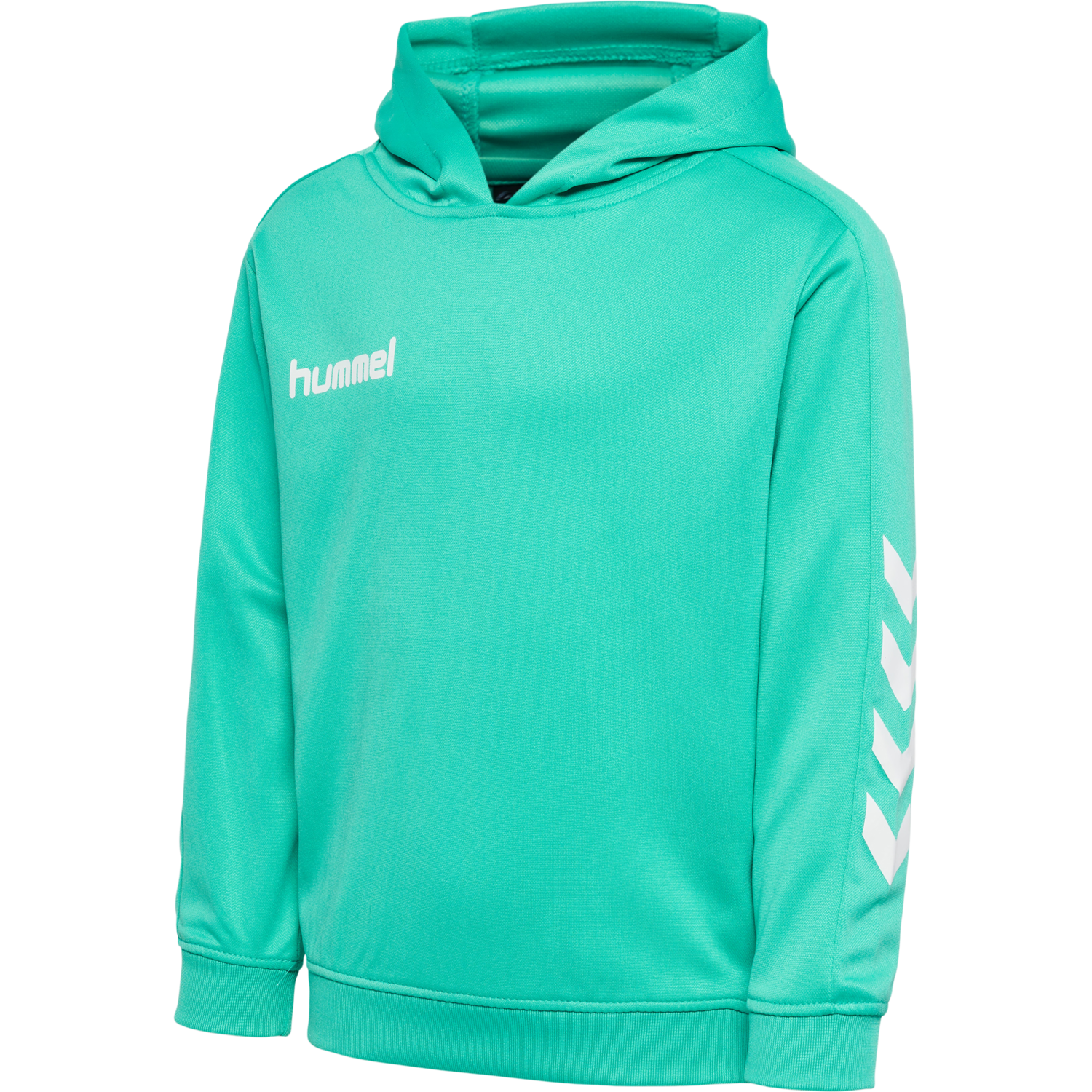 hmlPROMO KIDS POLY HOODIE