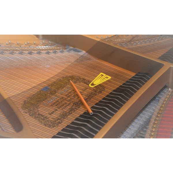 Fontander Piano Net