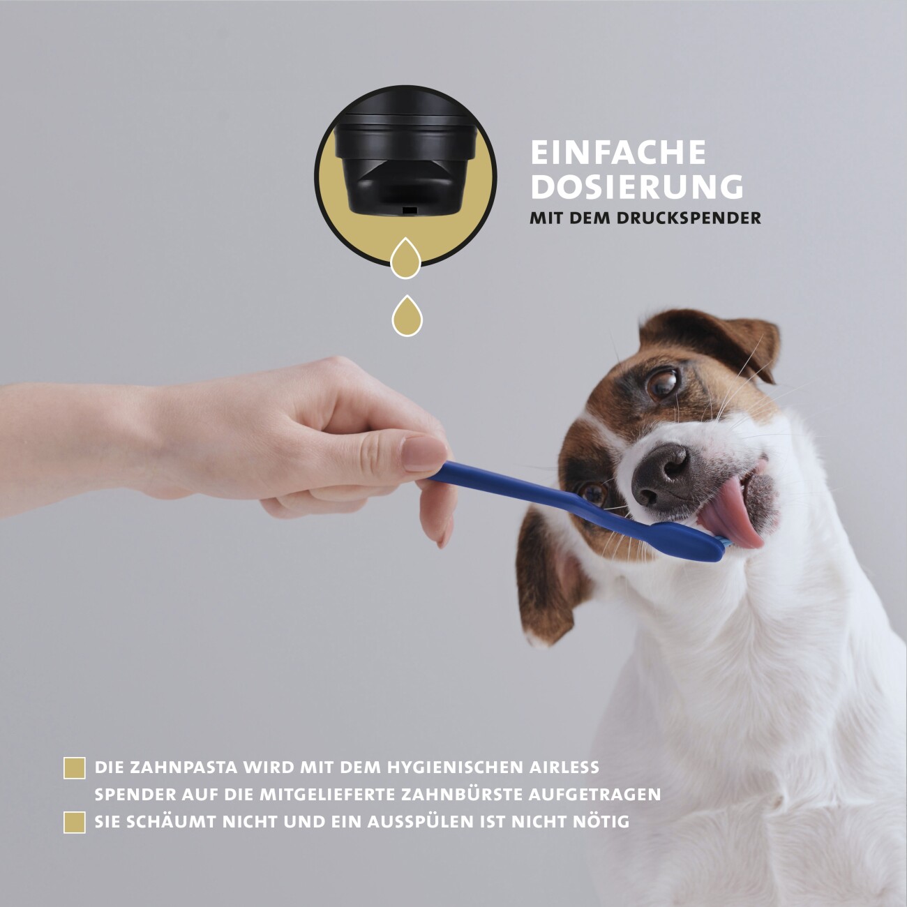 Peticare Zahnpasta, Zahncreme für Hunde