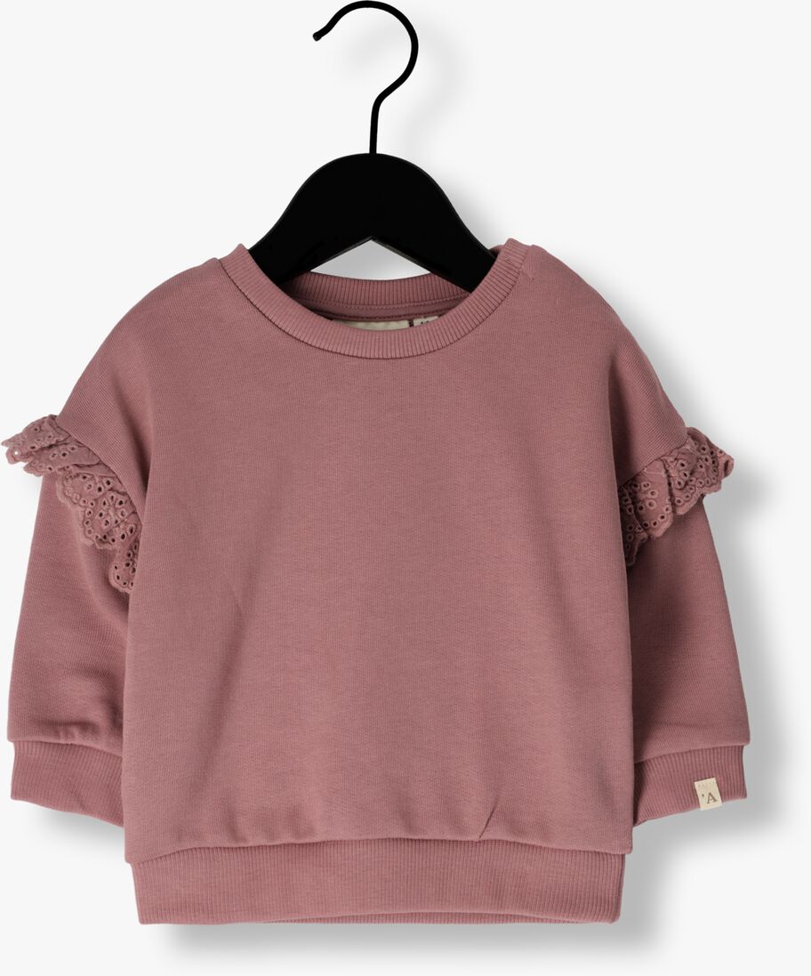 LIL\\' ATELIER roze lil' atelier sweater nbfdoris ls sweat