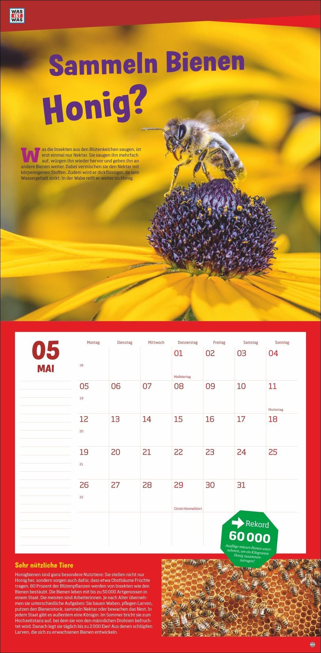 WAS IST WAS Tierwelt Broschurkalender 2025