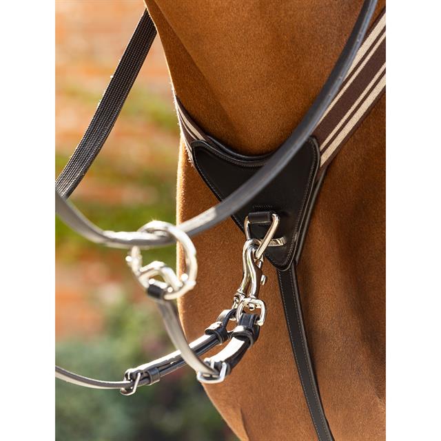 Borsttuig LeMieux Arika Elasticated Bruin-zilver