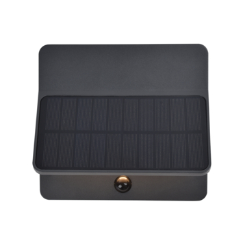 LUTEC wandlamp Aleta Solar antraciet 12,6W met bewegingssensor