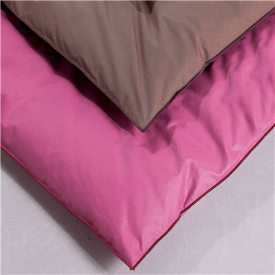 Édredon DUVET D'OIE 2 conforts - Léger - Chaud