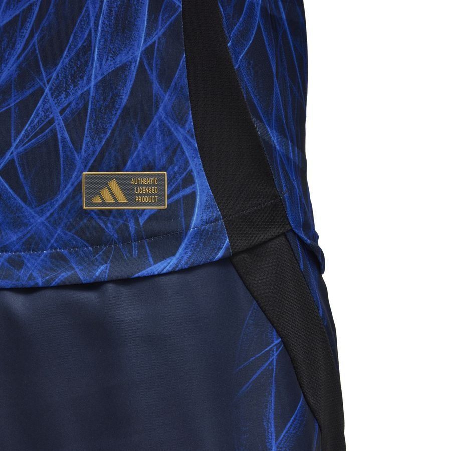 Japon Maillot Domicile 2024/25 Authentic