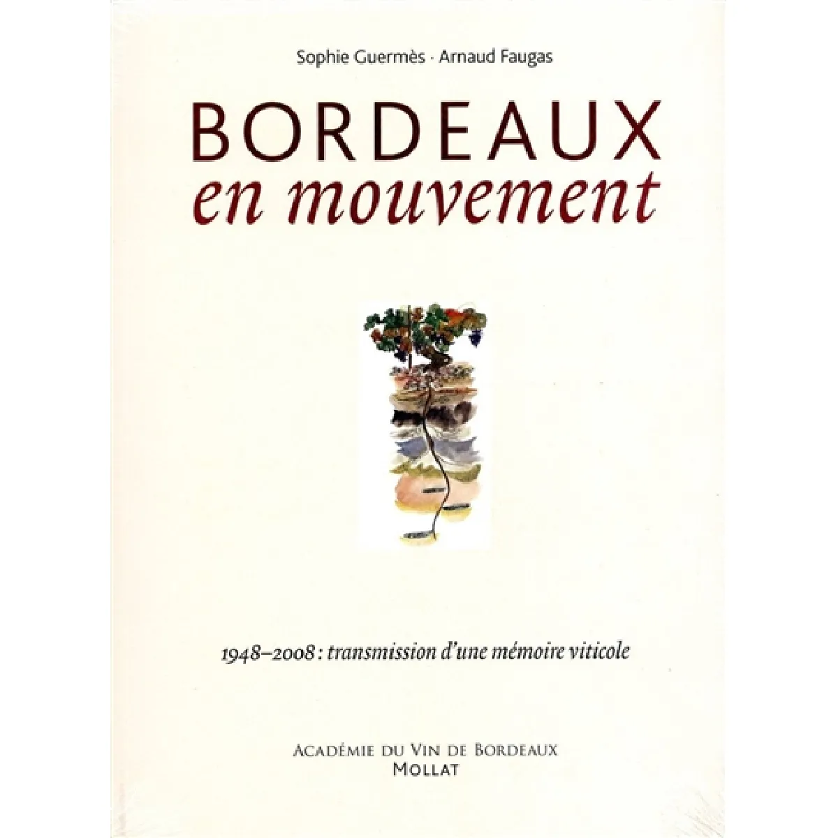 Bordeaux en mouvement : 1948-2008, transmission d'une mémoire viticole · Occasion