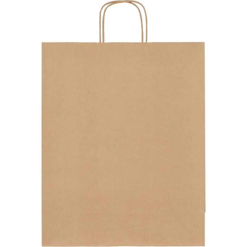 Sacs kraft brun poignées torsadées 110 g/m² - 50 sacs