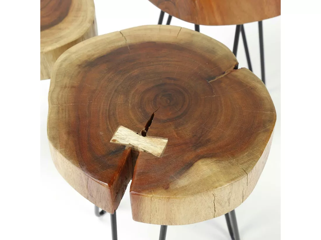 Table d'appoint tronc d'arbre acacia CANADA